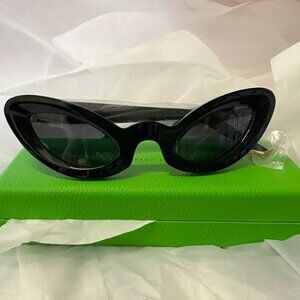 NwoT Fashion Brand Company Lizard Sunglasses